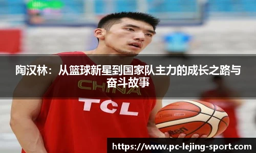 陶汉林：从篮球新星到国家队主力的成长之路与奋斗故事