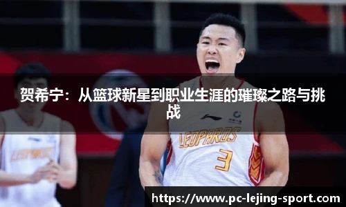 贺希宁：从篮球新星到职业生涯的璀璨之路与挑战